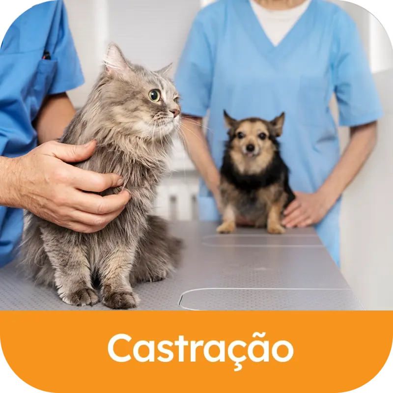 Castração