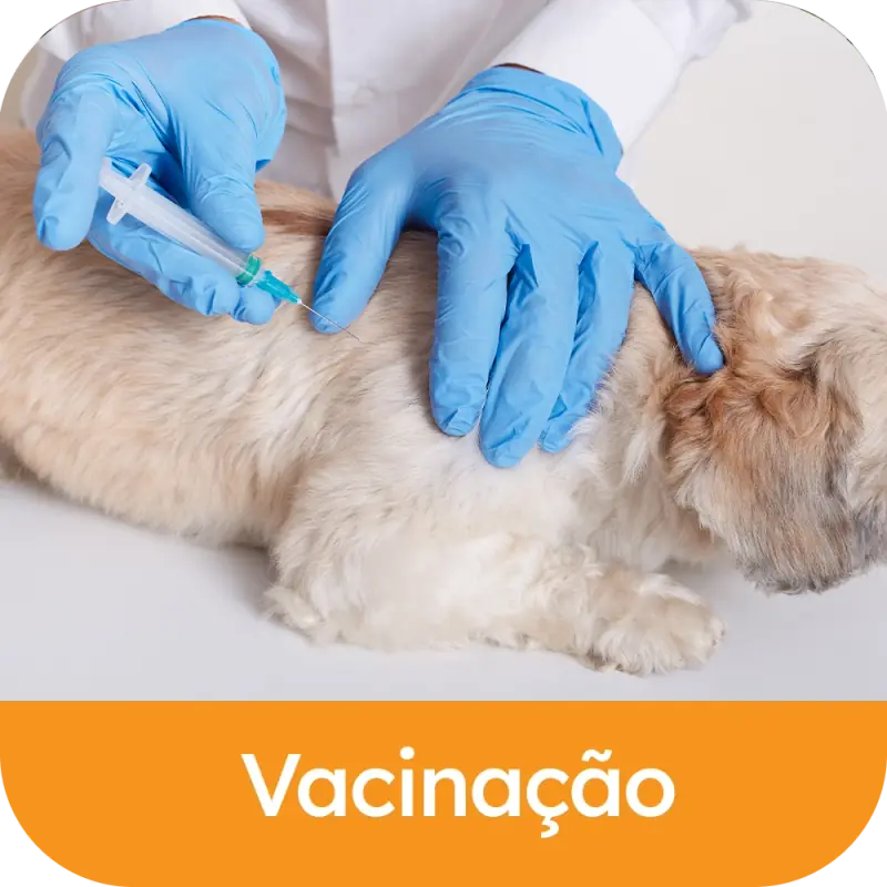 Vacinação