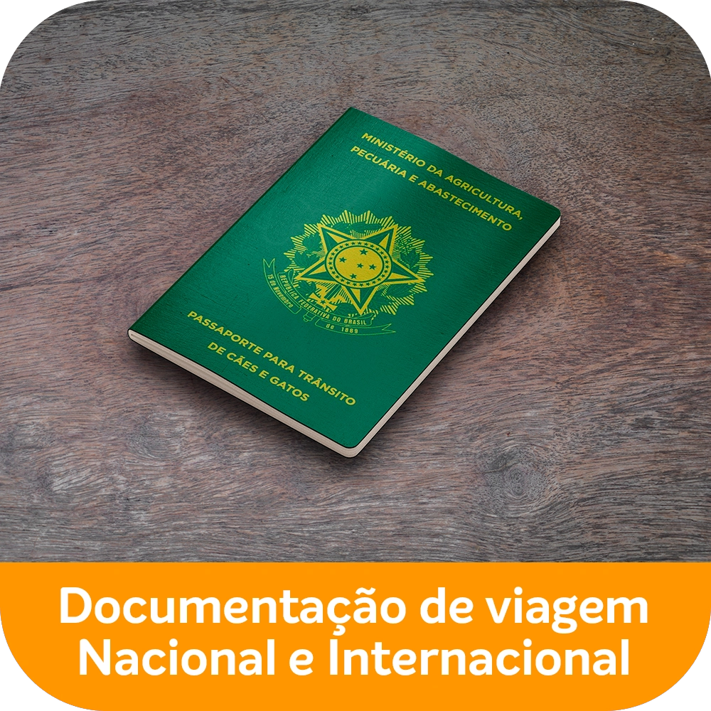 Passaporte